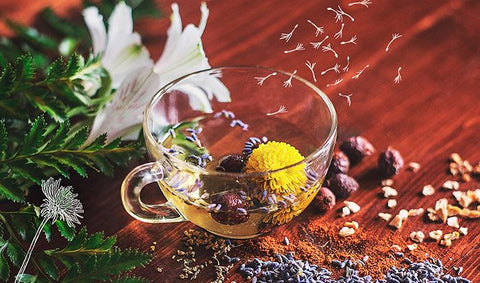 La Tisane Détox maison de Saeve pour faire le plein d'anti-oxydants - Saeve Paris