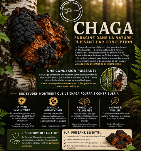 Food Supplement Marine Collagen – Chaga – Vitamin C