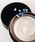 Crème Riche Désaltérante – 50 ml - Saeve Paris
